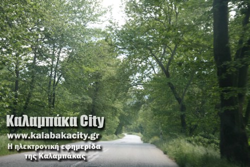 protomagia grevena prwtomagia 076