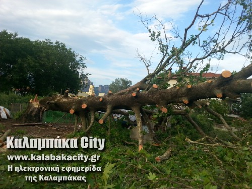 diava20140608 192759