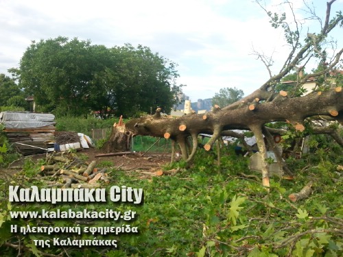 diava20140608 192804