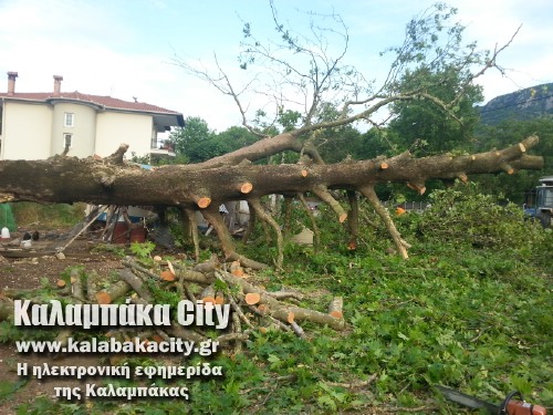 diava20140608 192821