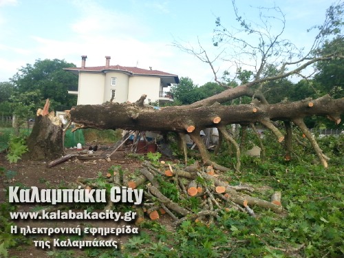 diava20140608 192823