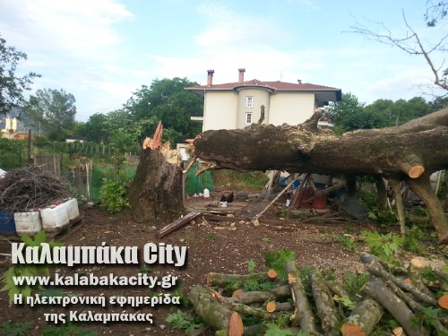 diava20140608 192828