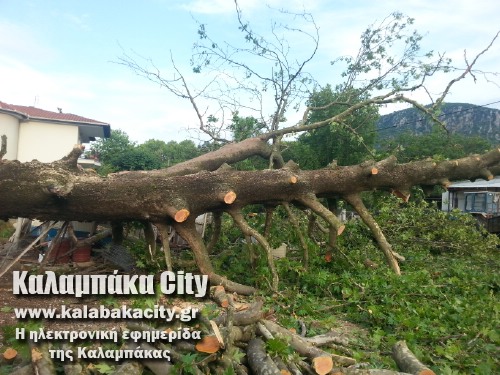 diava20140608 192837