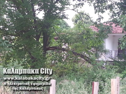 diava20140608 193659