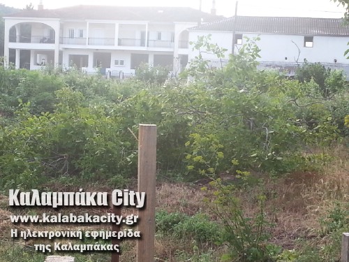 diava20140608 193718