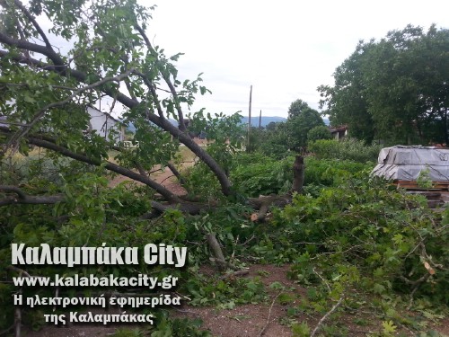 diava20140608 194713