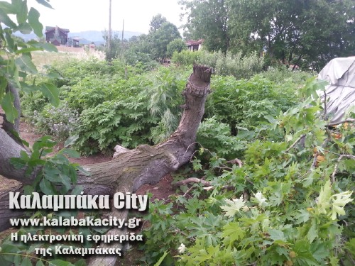 diava20140608 194722