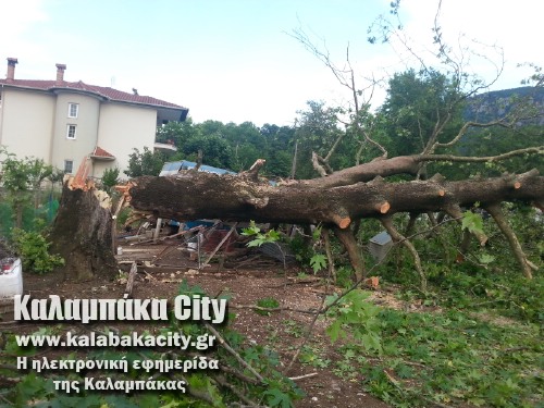 diava20140608 194729