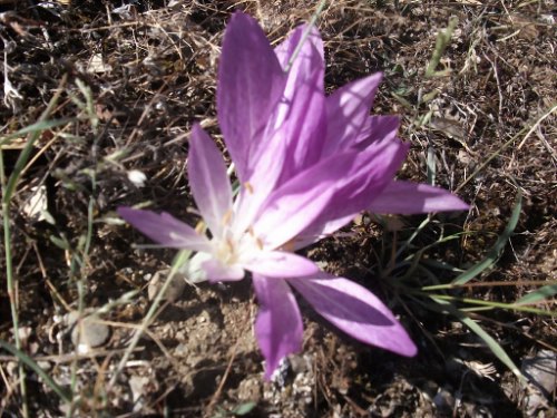 ta alla meteora (18)