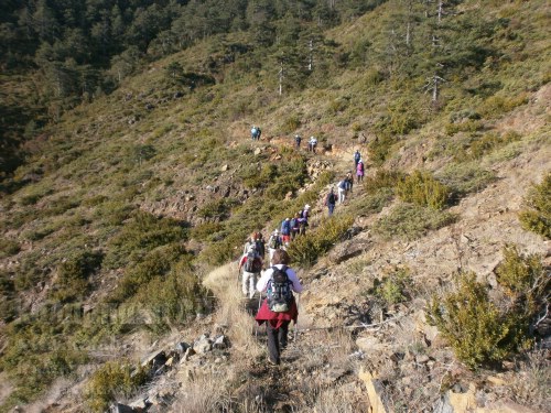 olk u039Au0391u039Au0391u03A0u039Bu0395u03A5u03A1u0399 12-10-2014 051