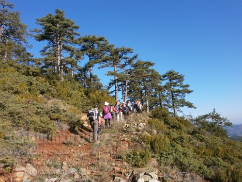 olk u039Au0391u039Au0391u03A0u039Bu0395u03A5u03A1u0399 12-10-2014 059