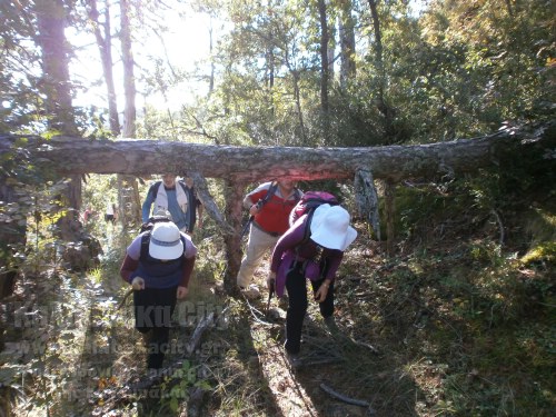 olk u039Au0391u039Au0391u03A0u039Bu0395u03A5u03A1u0399 12-10-2014 073