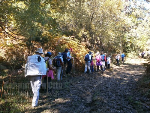 olk u039Au0391u039Au0391u03A0u039Bu0395u03A5u03A1u0399 12-10-2014 117