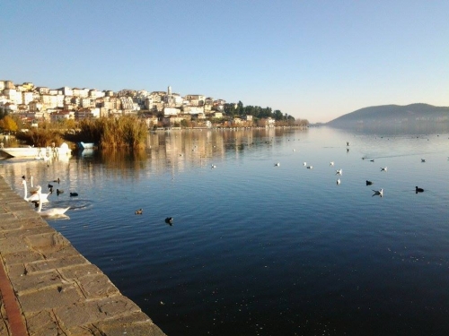 10807884 1500390290222936 52879309 n