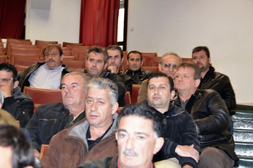 politiki prostasia dimasrxos