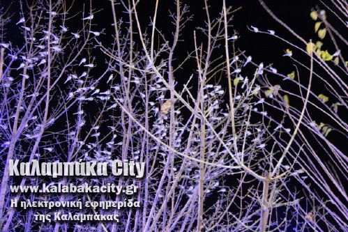 poulia platia IMG 4224