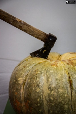 10965301 10205712584084578 426615959 n