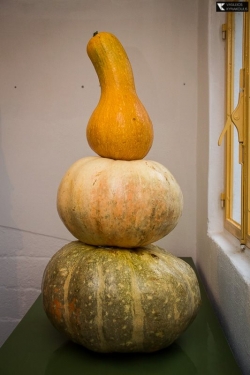 10965574 10205712584284583 485224042 n