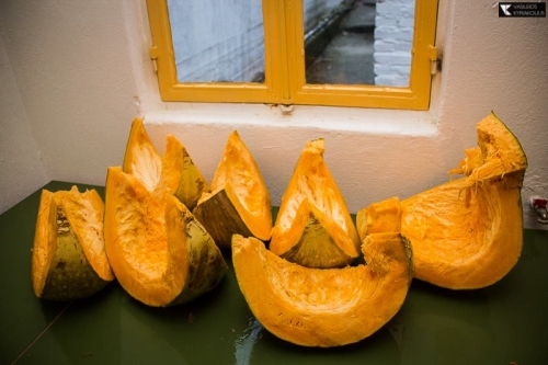 961492 10205712586804646 48250026 n