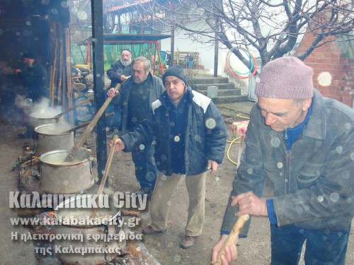 agiofyllo 11021175 393591207481673 5147473484424028345 n