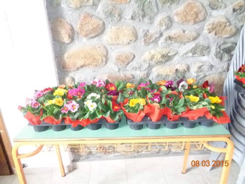 11042949 1575912175983309 4403490325710635154 n