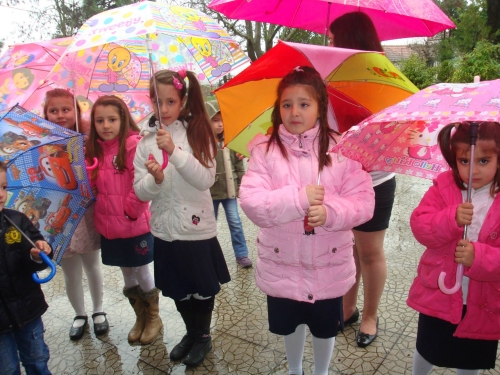 11061276 405582009615926 7192612541657735823 o