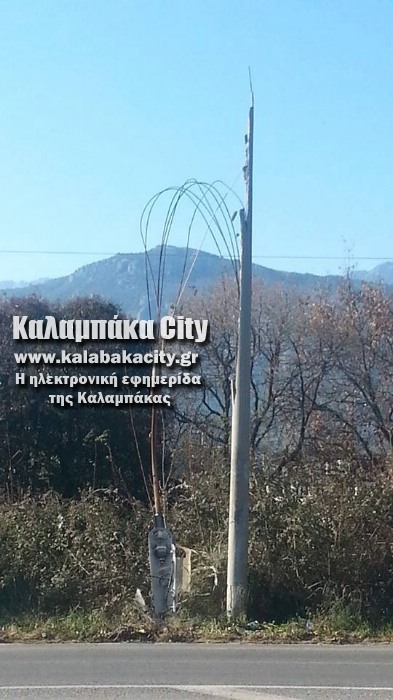 kolona 10927909 10206155468747543 1877408831 n