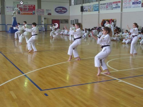 shidokan 1 (11)