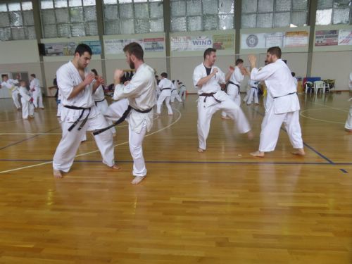 shidokan 1 (6)