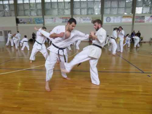 shidokan 1 (7)