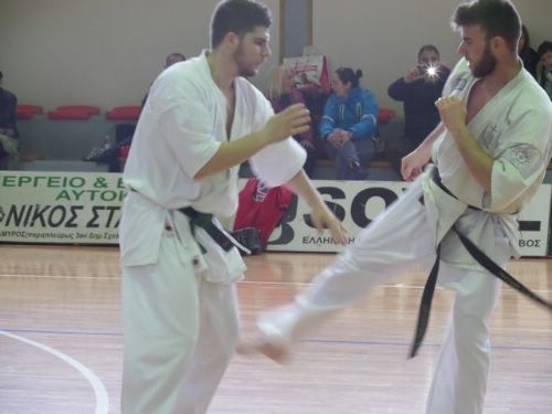shidokan 1 (8)