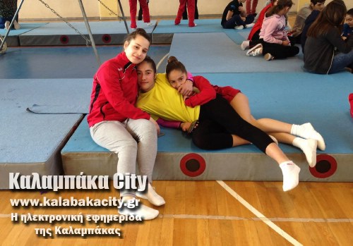 tramp 10003828 857818047619686 3057147657254952420 o