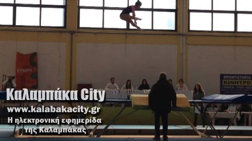 tramp 10306719 857819127619578 387234679546652531 n