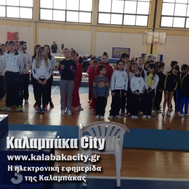 tramp 10818359 857817157619775 7550030825420813447 o