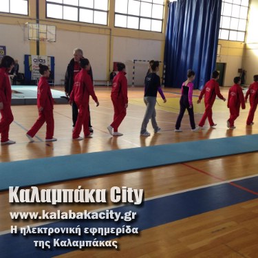 tramp 10863874 857817550953069 772035748430297783 o