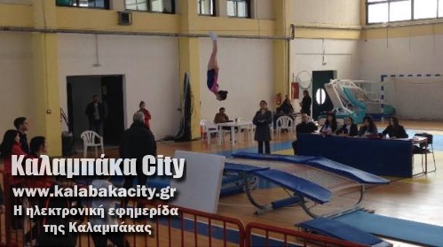 tramp 10956400 857819217619569 1939947519772705994 n