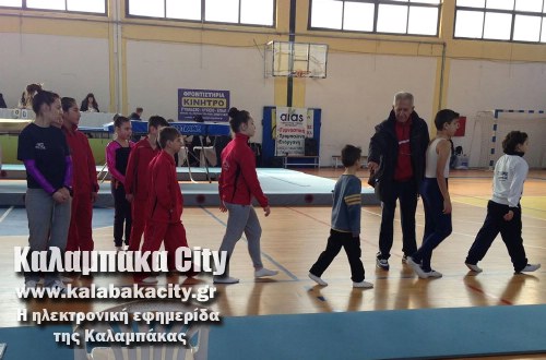 tramp 11044625 857817320953092 5580538090256805466 o