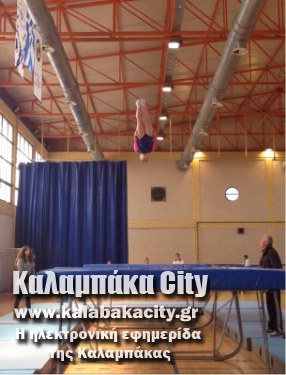 tramp 11072719 857819274286230 2944550308383910125 n