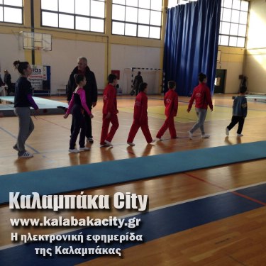 tramp 1553197 857817410953083 5309927482492451667 o