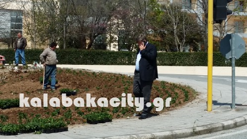 louloudia dimos 1520150409 142452