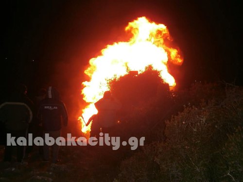 theo 11121629 10206713482496118 1822975027 n