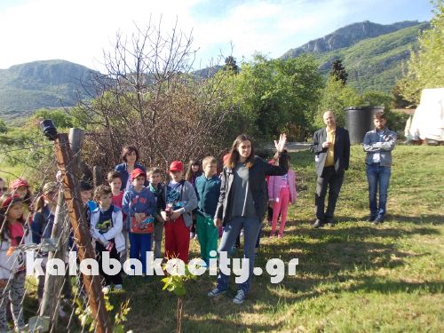 3o dim loudas DSCN1750