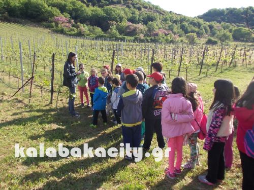 3o dim loudas DSCN1753