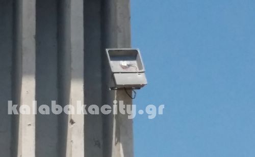 gymn 20150531 130020