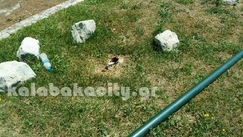 gymn 20150531 130044