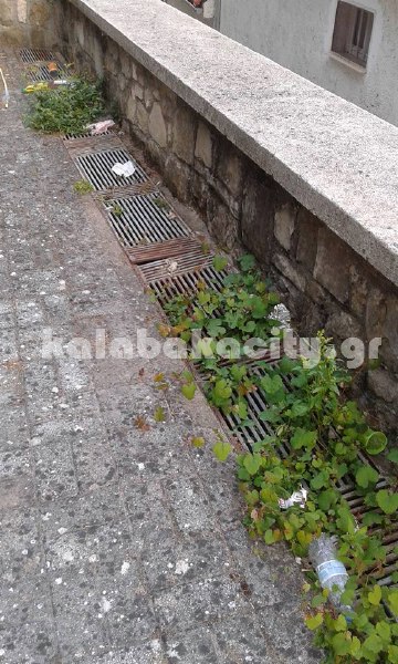 ag antonios 11391464 1602070726739003 8460395069895788228 n