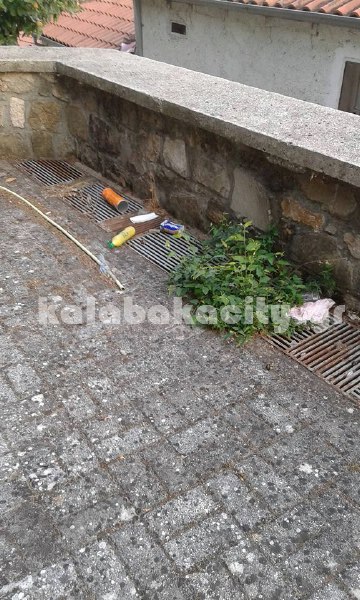 ag antonios 11392777 1602070710072338 4579483163411126729 n