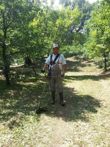 diaba 10157065 10205810265249610 698840777 n