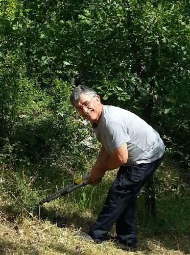 diaba 11281916 10205810279649970 714263858 n