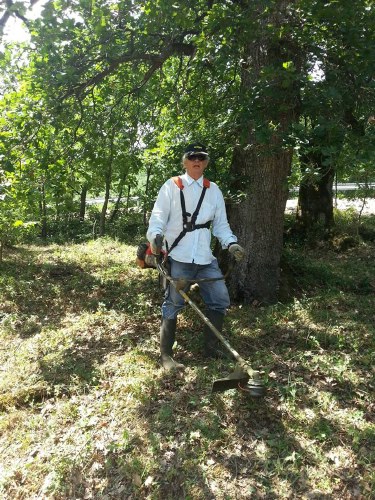 diaba 11536868 10205810268329687 1178822759 n